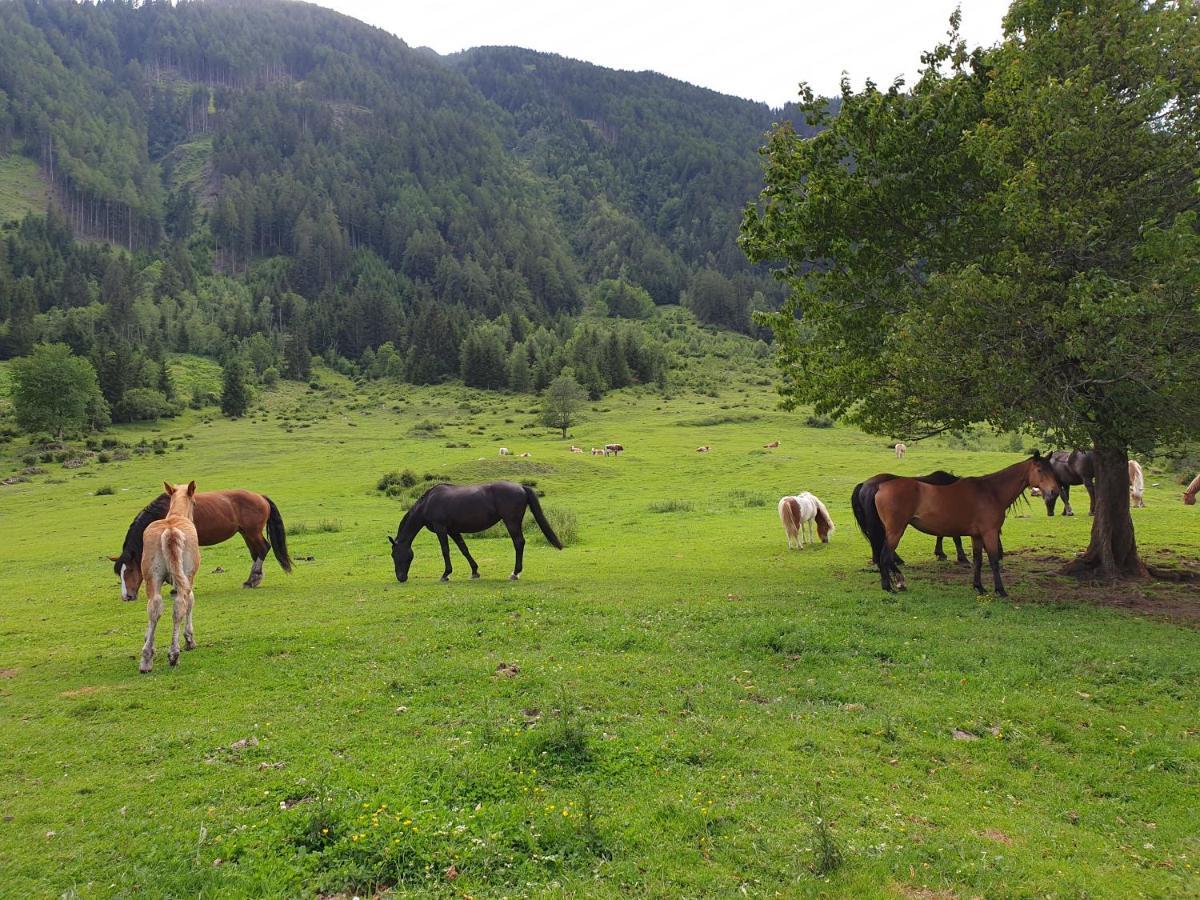 Vila Pongitzerhof Matrei in Osttirol Exteriér fotografie